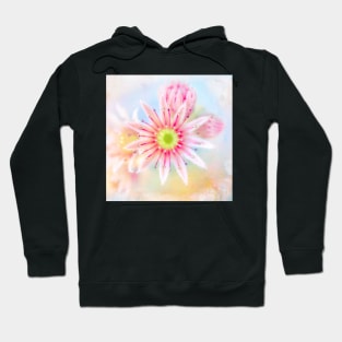 Live Forever - Flower Art Hoodie